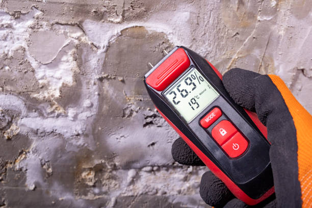 Best Post-Remediation Services in Overland, MO