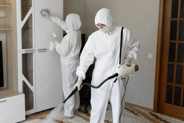 Best Residential Mold Remediation in Overland, MO