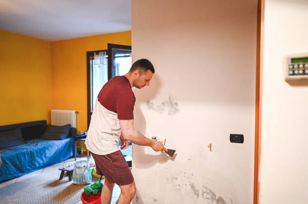 Professional Mold Remediation in Overland, MO